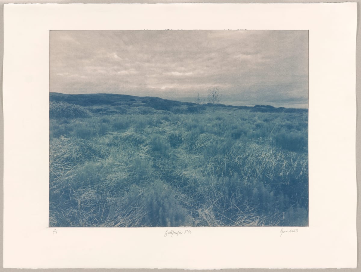 Gullfossför / Gullfoss trail N°10 by Hlynur Helgason  Image: Gullfossför / Gullfoss trail N°10 — 1/3