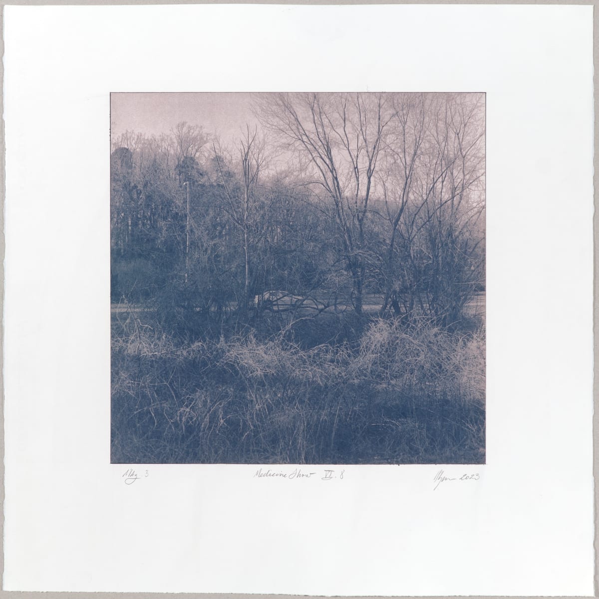 The Medicine Show VI.8-3 by Hlynur Helgason  Image: The Medicine Show, Day 6: Lake Daniel N°8. Útgáfa/Version 3.