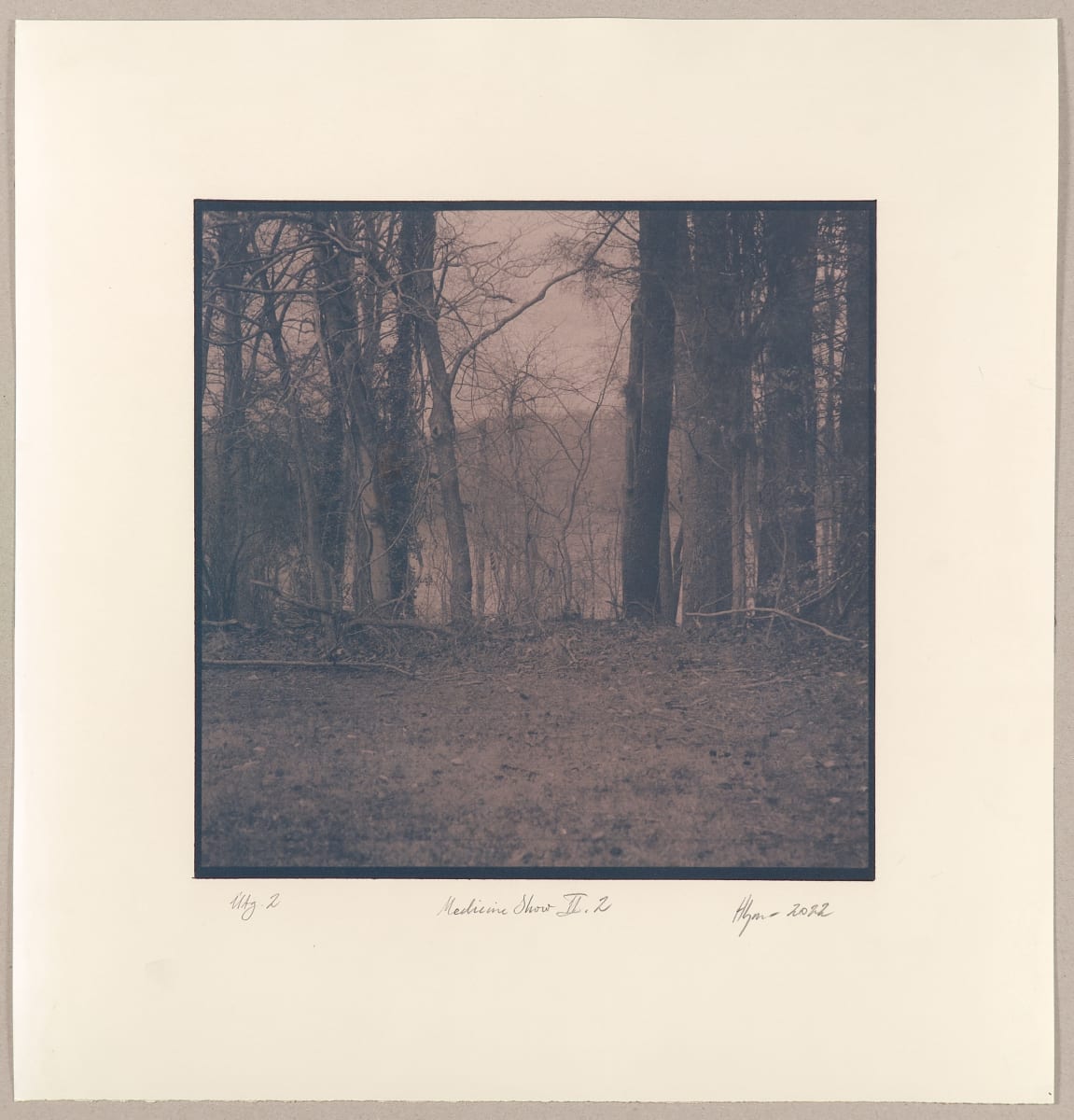 The Medicine Show II.2-2 by Hlynur Helgason  Image: The Medicine Show: Dagur/Day 2, Bur-Mil Park, N°2. Útgáfa/Version 2.