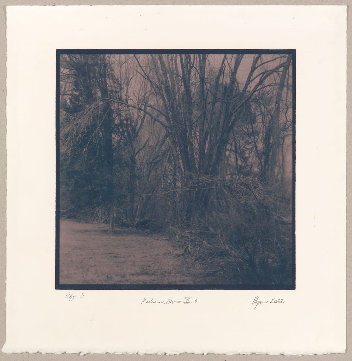 The Medicine Show II.6-3 by Hlynur Helgason  Image: The Medicine Show: Dagur/Day 2, Bur-Mil Park, N°6. Útgáfa/Version 3.