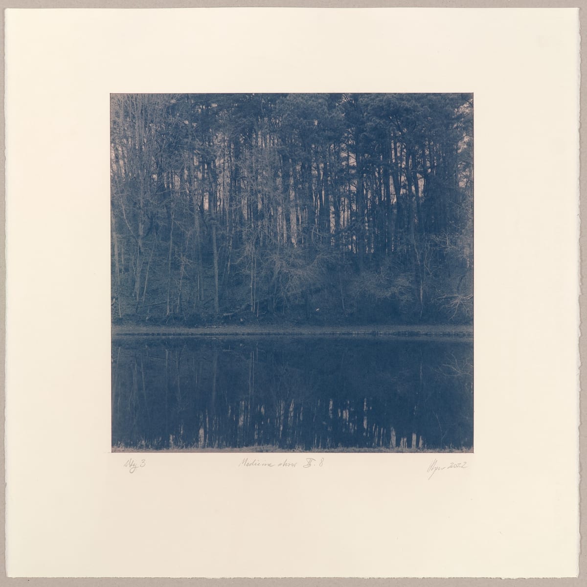 The Medicine Show II.8-3 by Hlynur Helgason  Image: The Medicine Show: Dagur/Day 2, Bur-Mil Park, N°8. Útgáfa/Version 3,