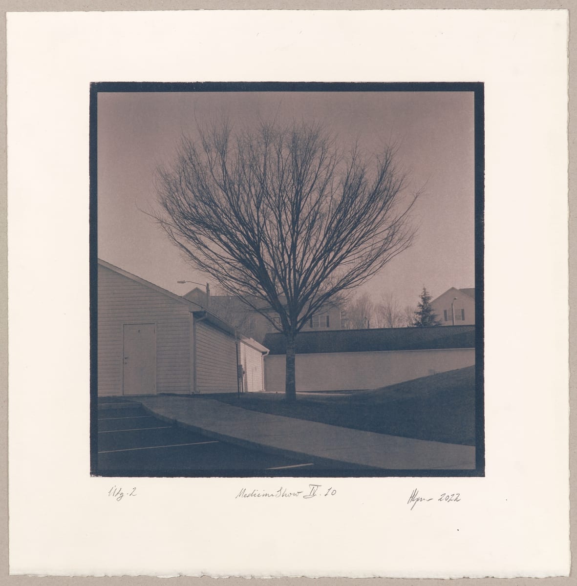 The Medicine Show IV.10-2 by Hlynur Helgason  Image: The Medicine Show, Day 4: The Gardens at Anthony House Apts. N°10.