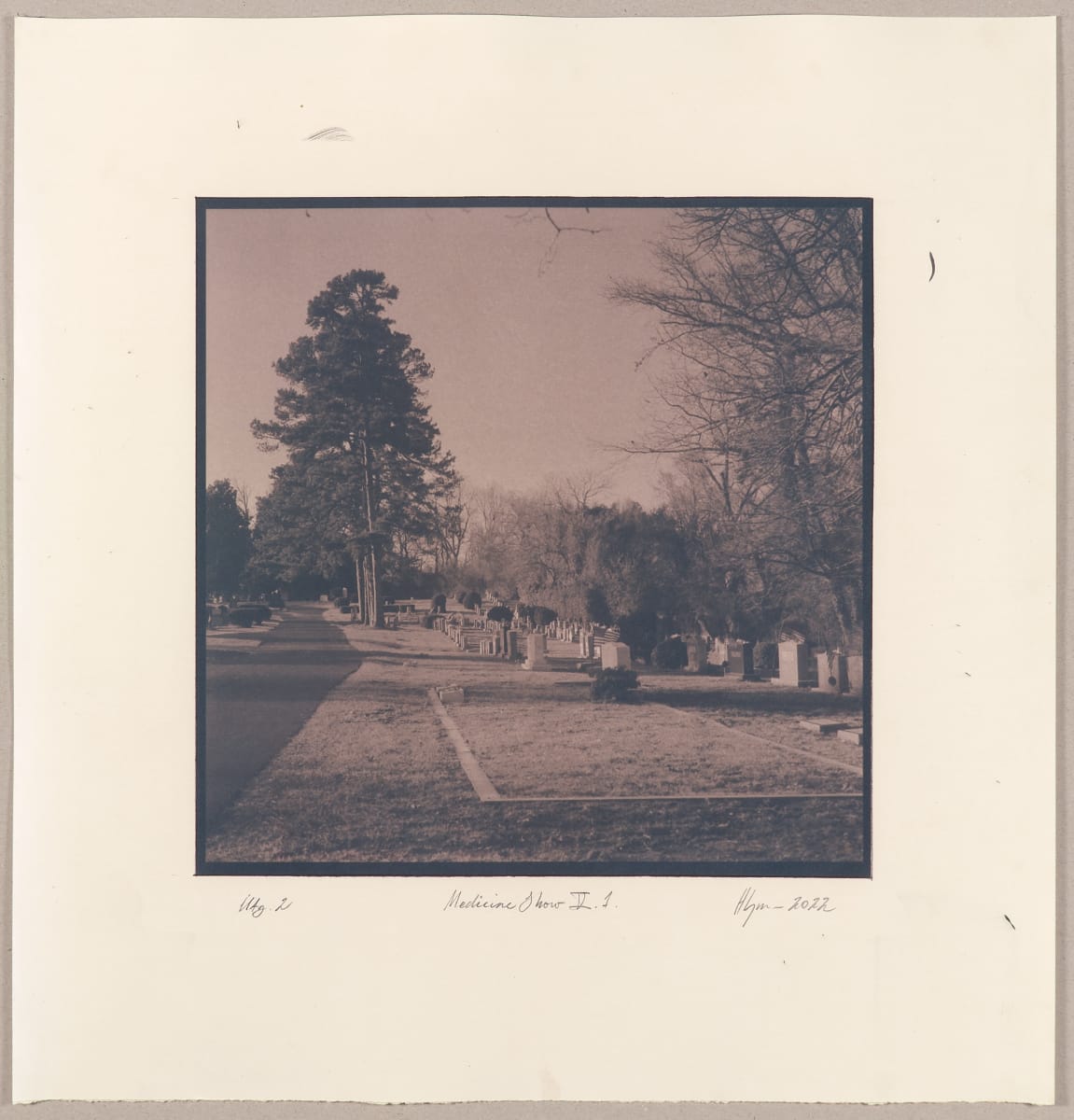 The Medicine Show V.1-2 by Hlynur Helgason  Image: The Medicine Show, Day 5: Hebrew Cemetery N°1.