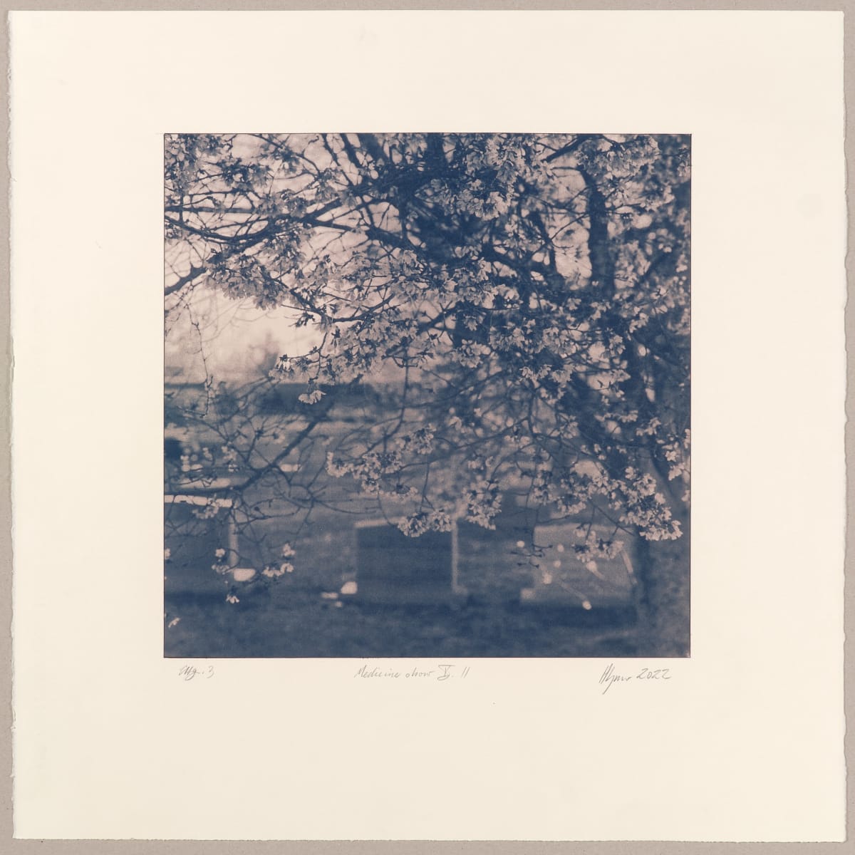 The Medicine Show V.12-1 by Hlynur Helgason  Image: The Medicine Show, Day 5: Hebrew Cemetery N°12. Útgáfa/Version 1.