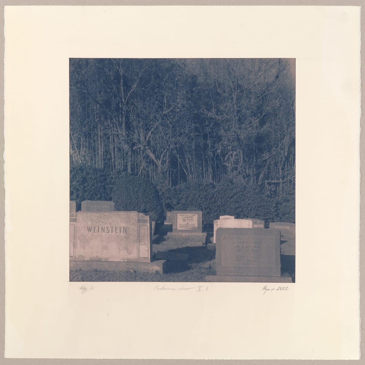 The Medicine Show V.6-1 by Hlynur Helgason  Image: The Medicine Show, Day 5: Hebrew Cemetery N°6. Útgáfa/Version 1.