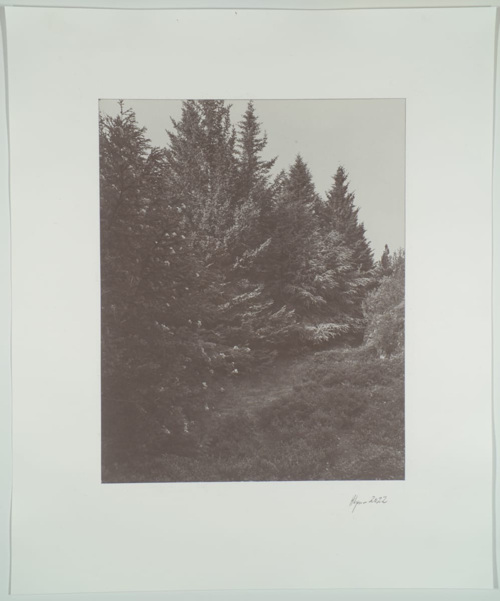 Skógar í Þorskafirði, 2021, No.2 1/8 by Hlynur Helgason 