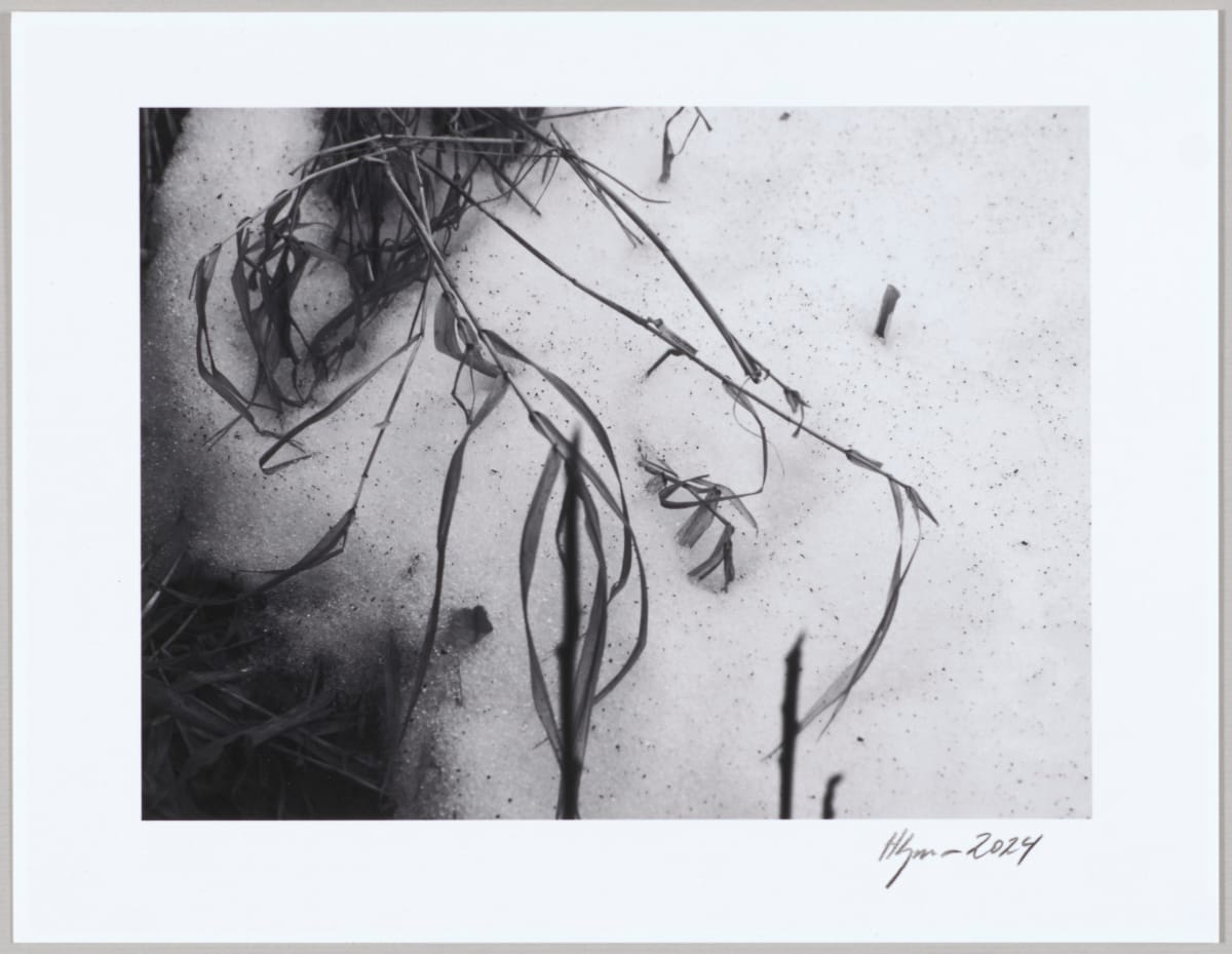 Svörður / Sod N°8 1/24 by Hlynur Helgason