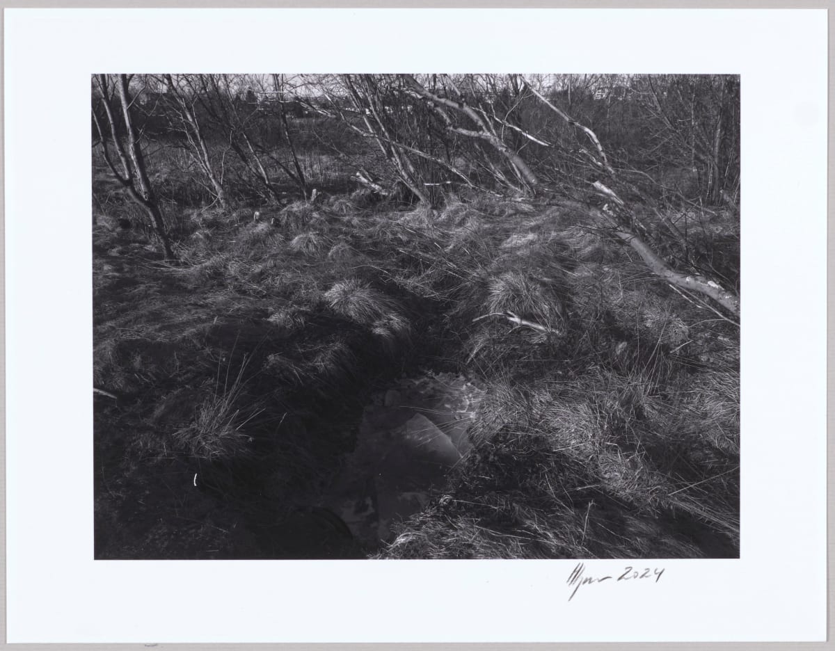 Dý / Dyke N°4 1/10 by Hlynur Helgason 