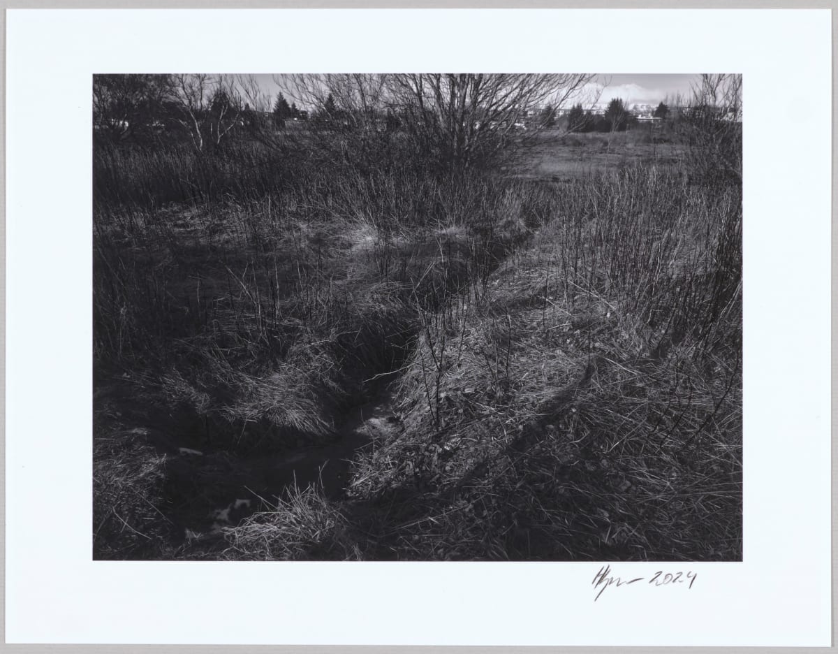 Dý / Dyke N°5 1/10 by Hlynur Helgason