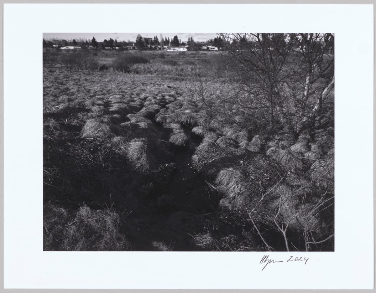 Dý / Dyke N°8 1/10 by Hlynur Helgason 