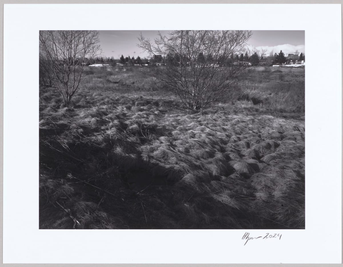 Dý / Dyke N°9 1/10 by Hlynur Helgason 