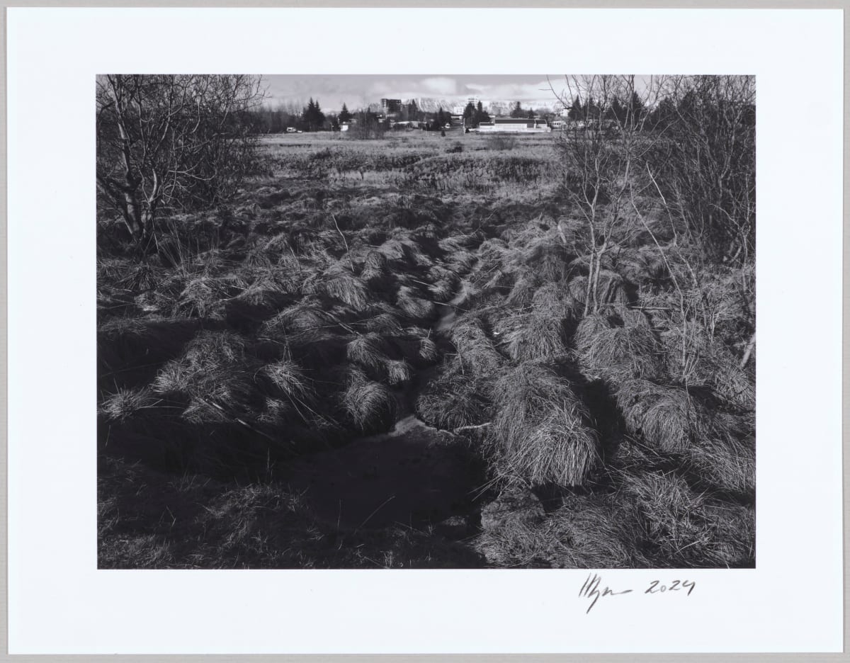 Dý / Dyke N°12 1/10 by Hlynur Helgason