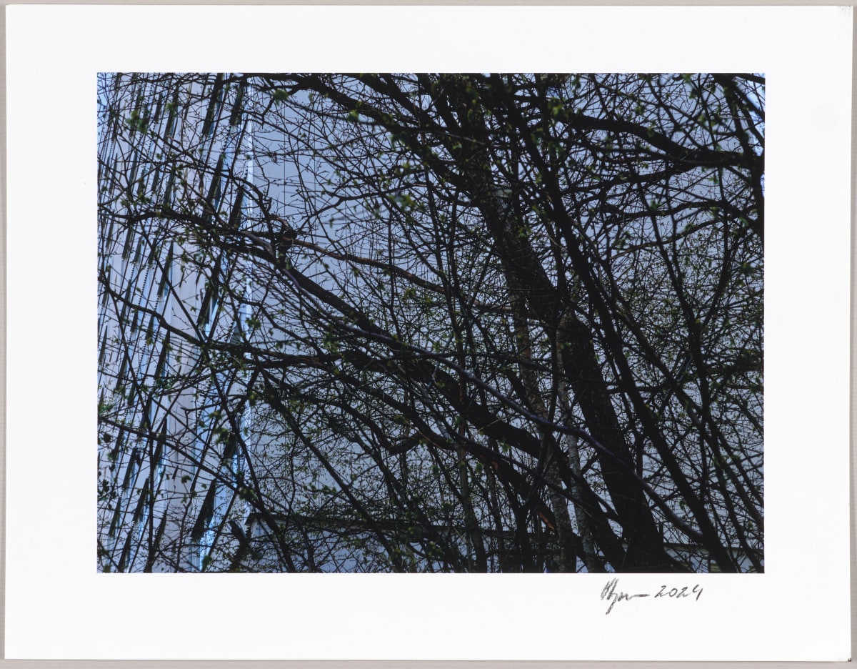 Mossen, N°18 1/24 by Hlynur Helgason 