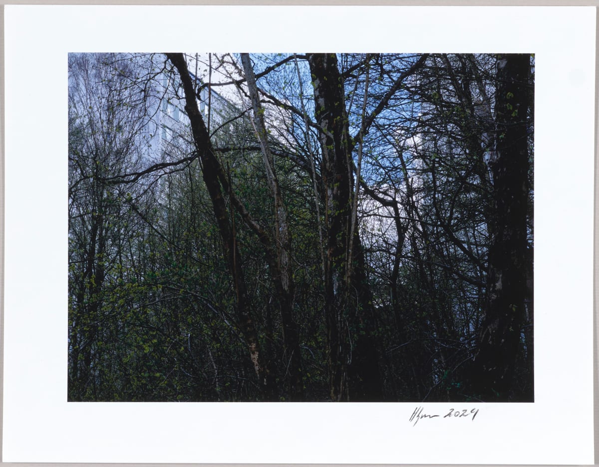 Mossen, N°8 1/24 by Hlynur Helgason 