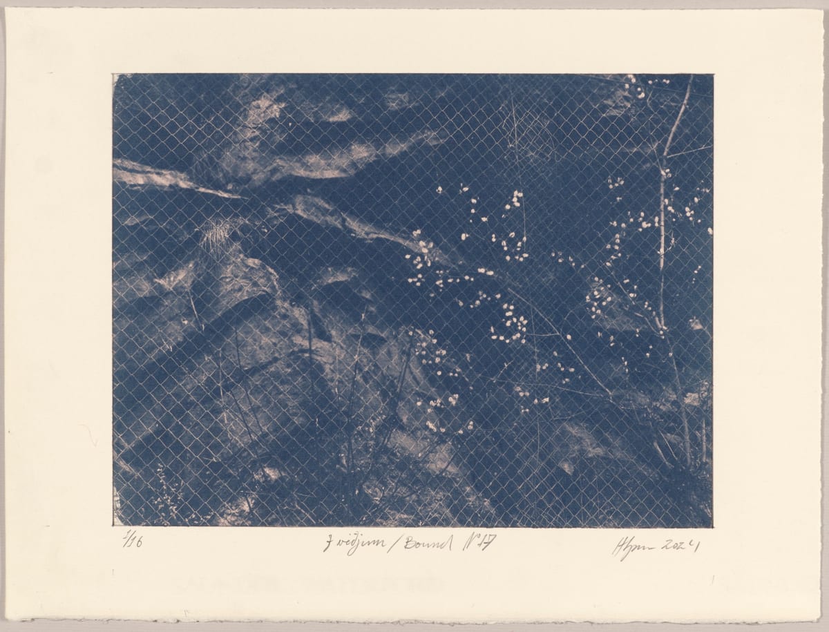 Í viðjum / Bound N°17, 2024, cyanotype photographs 1/16 by Hlynur Helgason 