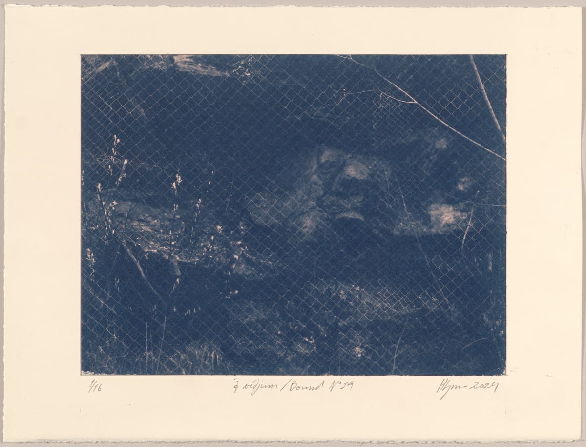 Í viðjum / Bound N°19, 2024, cyanotype photographs 1/16 by Hlynur Helgason