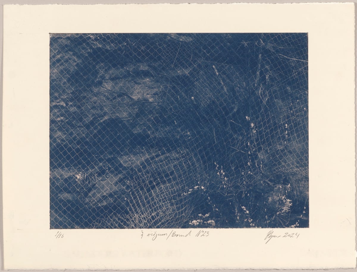 Í viðjum / Bound N°23, 2024, cyanotype photographs 1/16 by Hlynur Helgason 