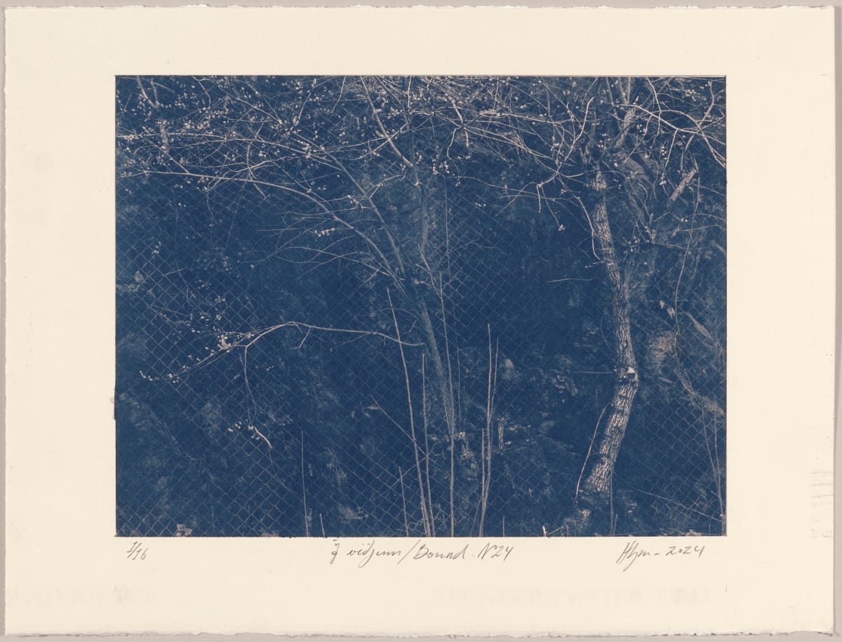 Í viðjum / Bound N°24, 2024, cyanotype photographs 1/16 by Hlynur Helgason 