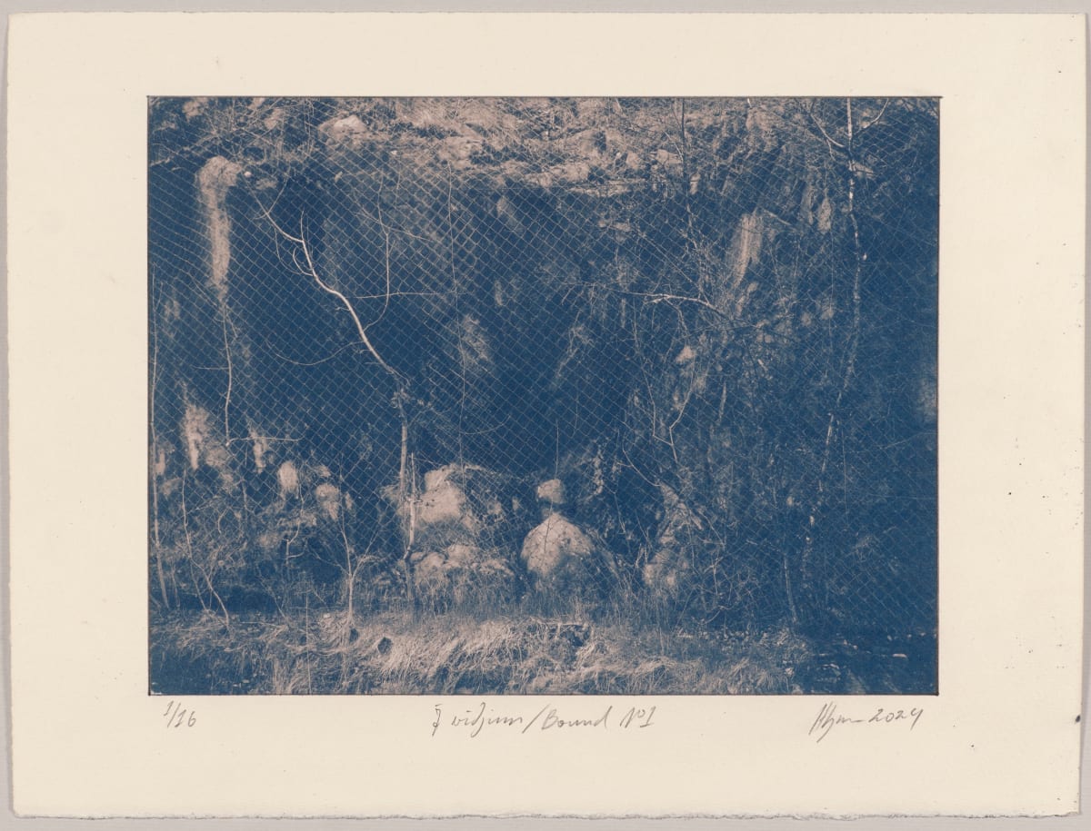 Í viðjum / Bound N°1, 2024, cyanotype photographs 1/16 by Hlynur Helgason 