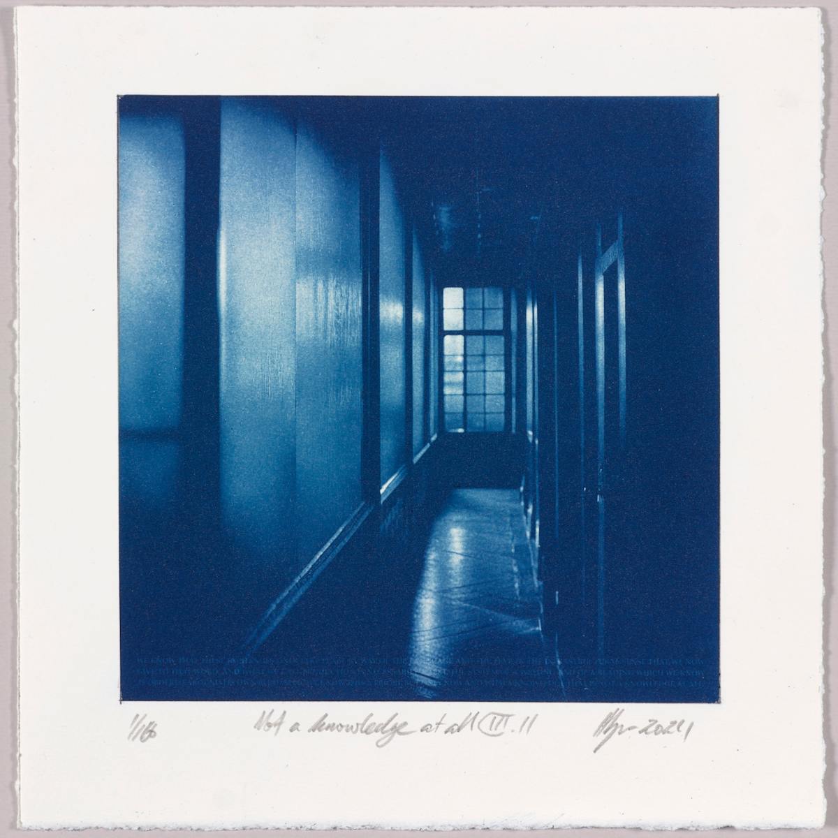 Not a knowledge at all III.11 – generated cyanotype photograph 1/6 by Hlynur Helgason 