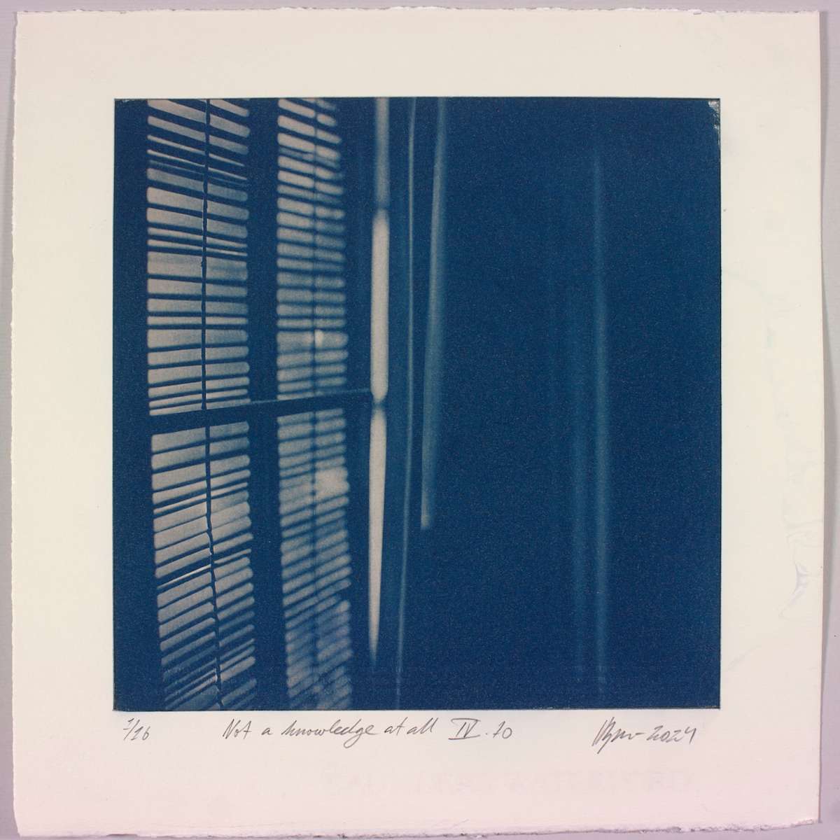 Not a knowledge at all IV.10 – generated cyanotype photograph 1/6 by Hlynur Helgason 