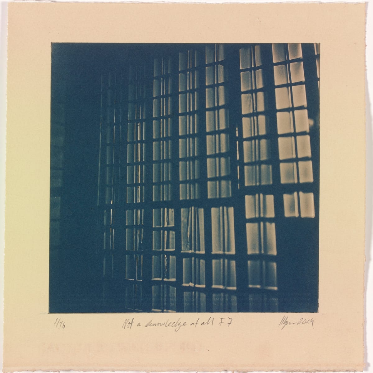 Not a knowledge at all I.7 – generated cyanotype photograph 1/6 by Hlynur Helgason 