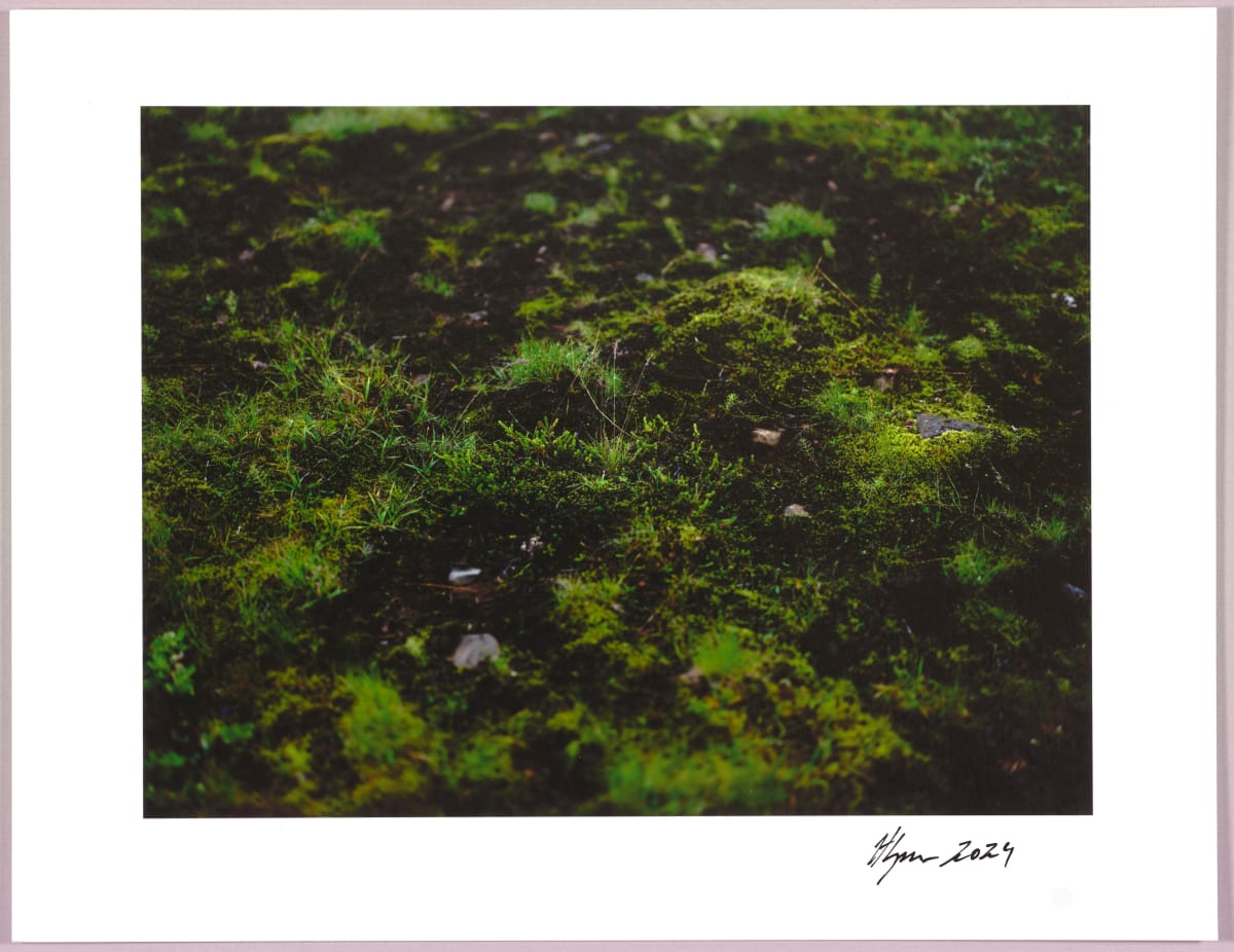 Lush heathlands — Oddskarð, Iceland N°10 1/24 by Hlynur Helgason 