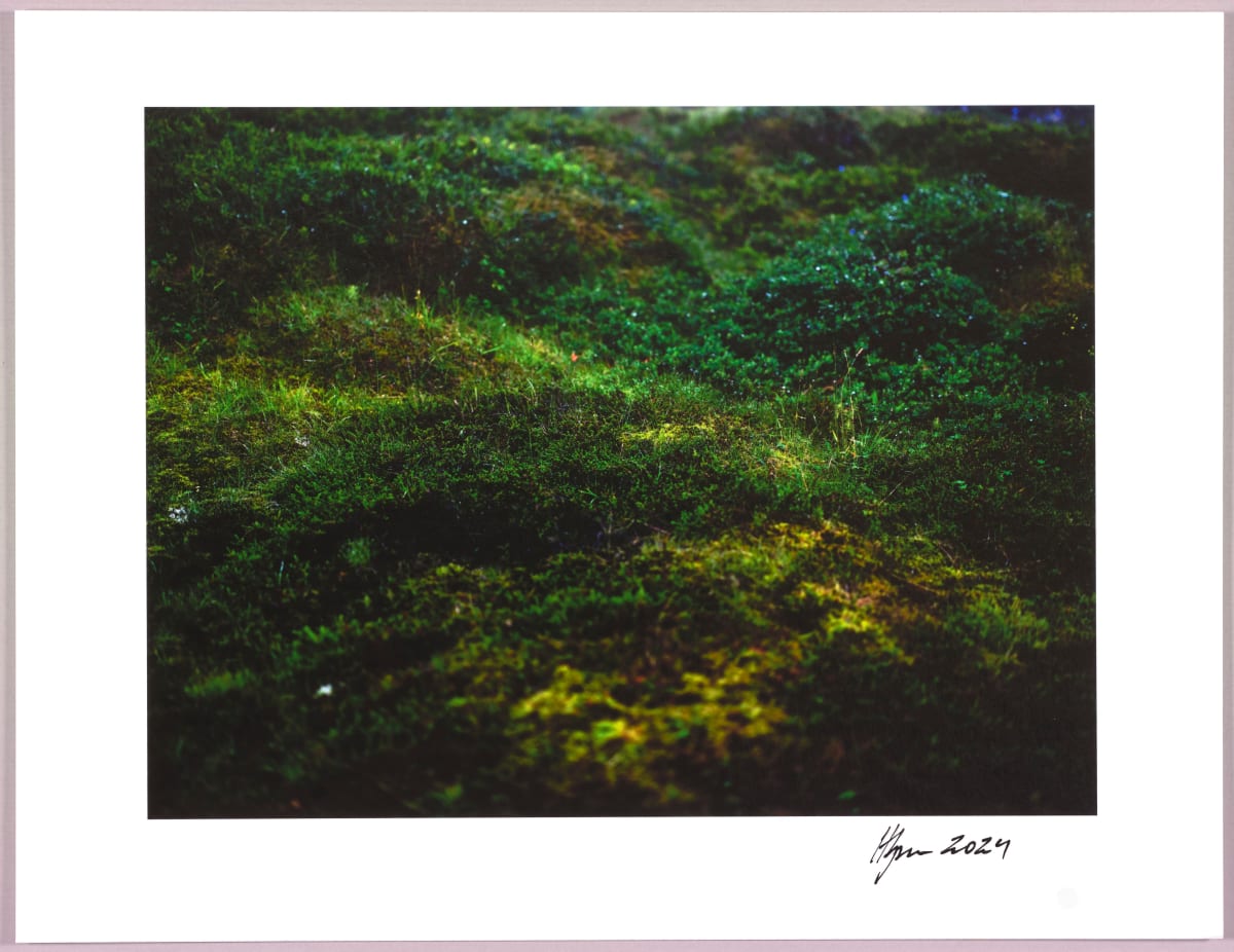 Lush heathlands — Oddskarð, Iceland N°11 1/24 by Hlynur Helgason