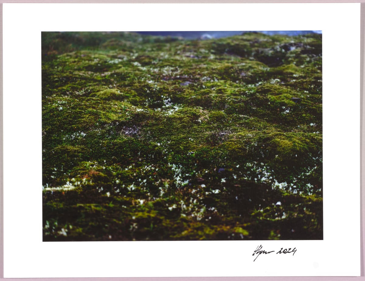 Lush heathlands — Oddskarð, Iceland N°15 1/24 by Hlynur Helgason 