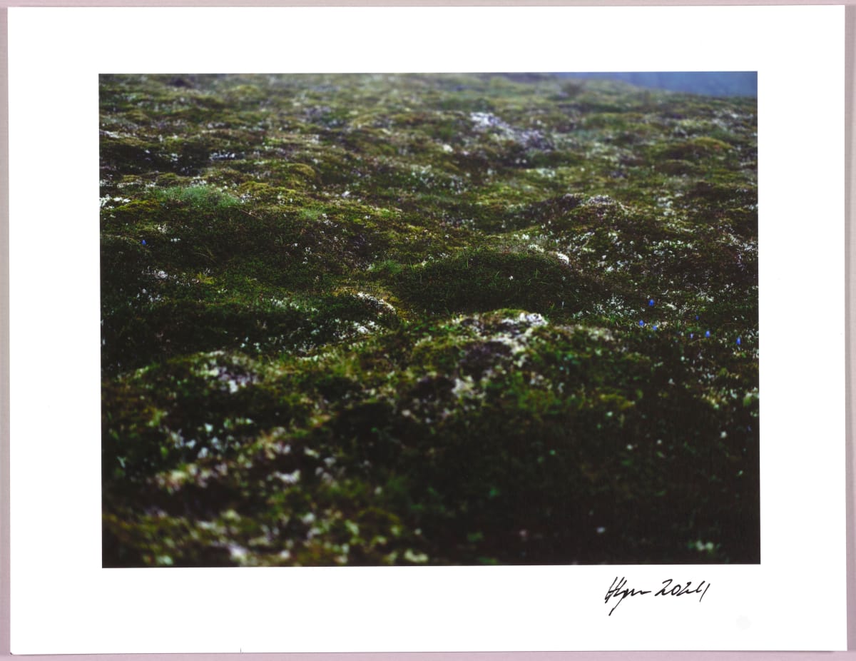 Lush heathlands — Oddskarð, Iceland N°16 1/24 by Hlynur Helgason 