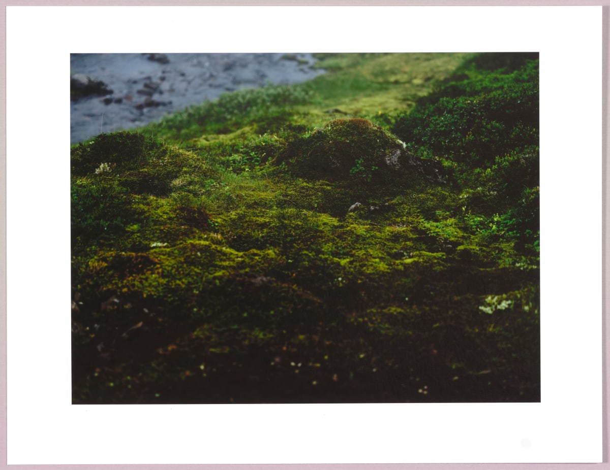Lush heathlands — Oddskarð, Iceland N°17 1/24 by Hlynur Helgason