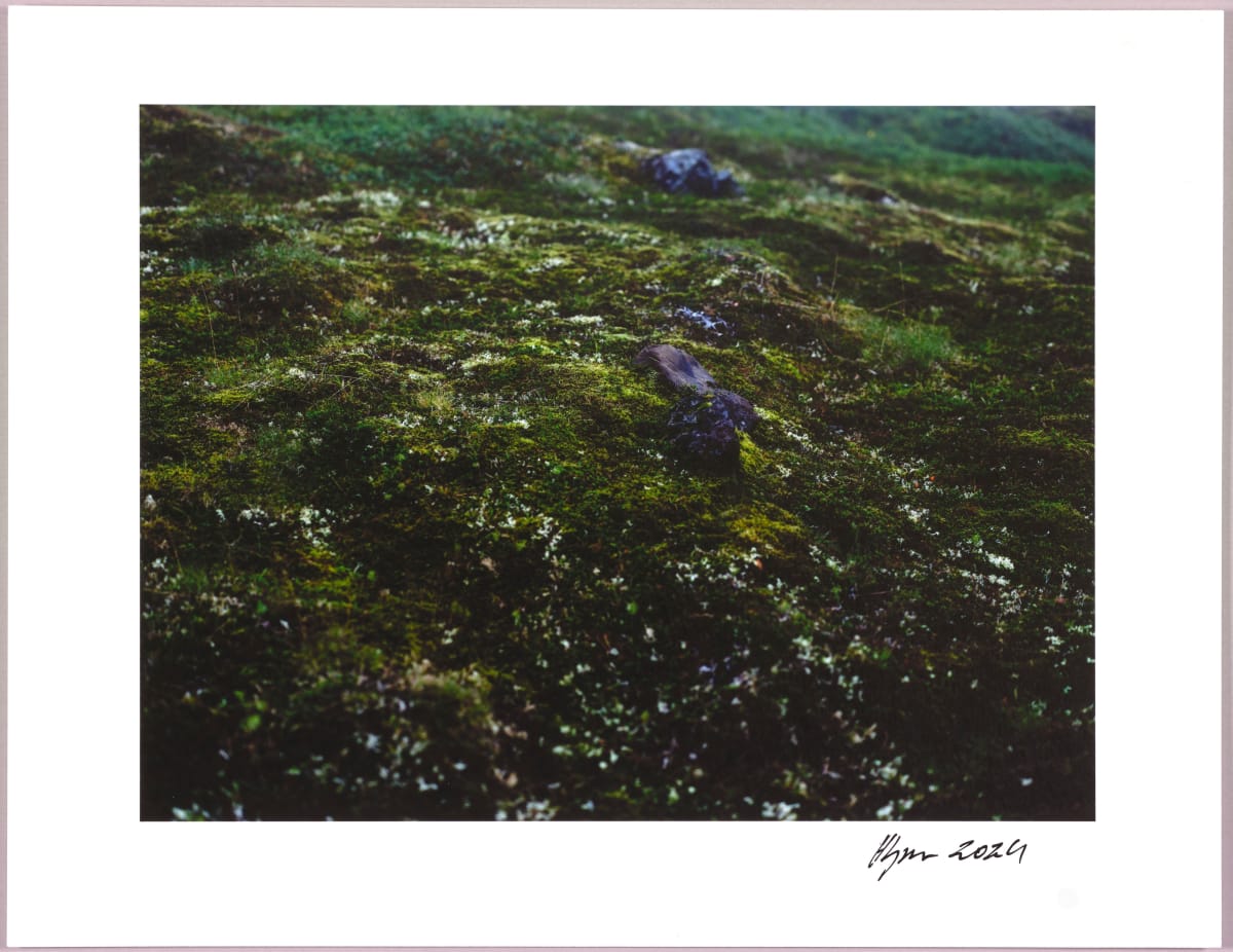 Lush heathlands — Oddskarð, Iceland N°2 1/24 by Hlynur Helgason 