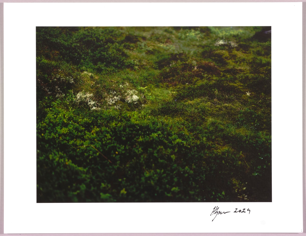 Lush heathlands — Oddskarð, Iceland N°4 1/24 by Hlynur Helgason 