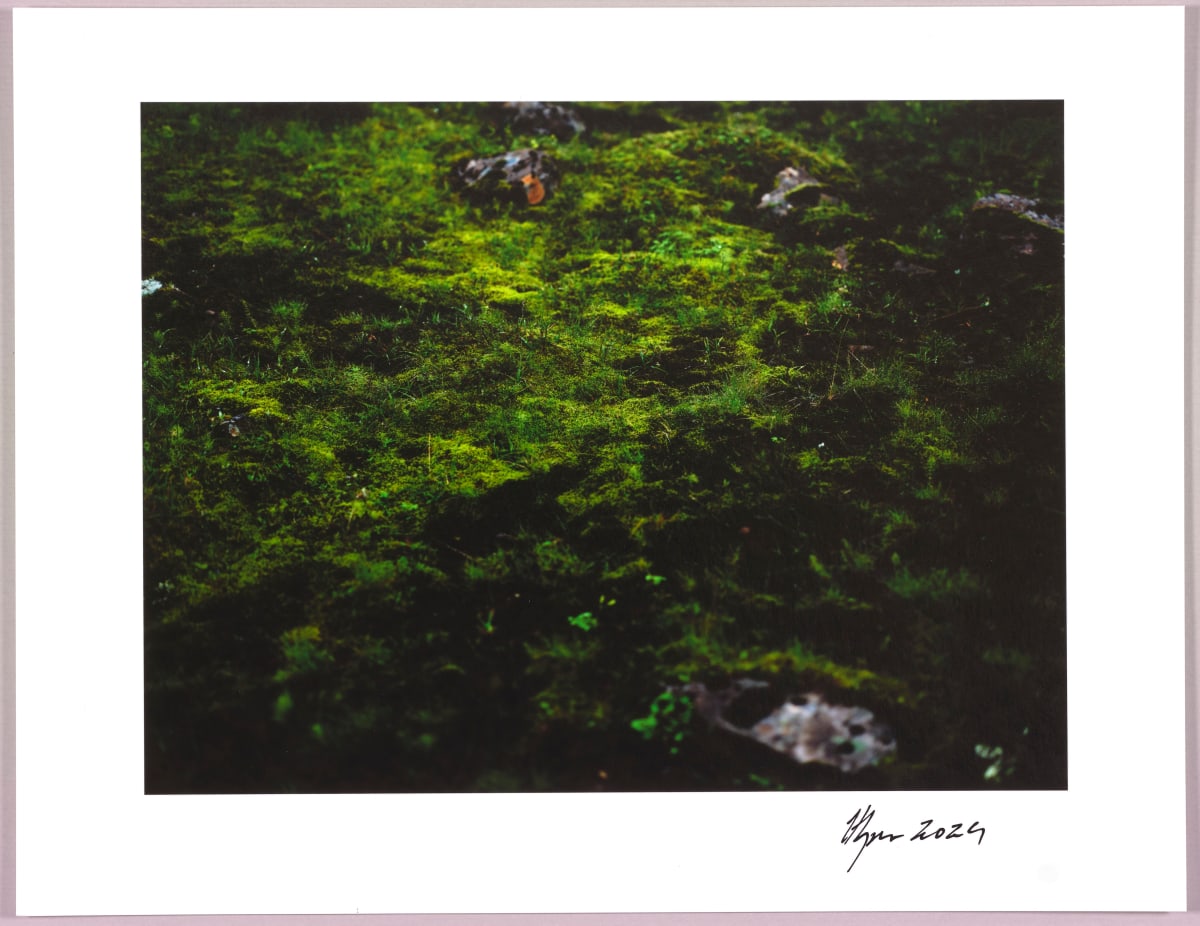 Lush heathlands — Oddskarð, Iceland N°8 1/24 by Hlynur Helgason