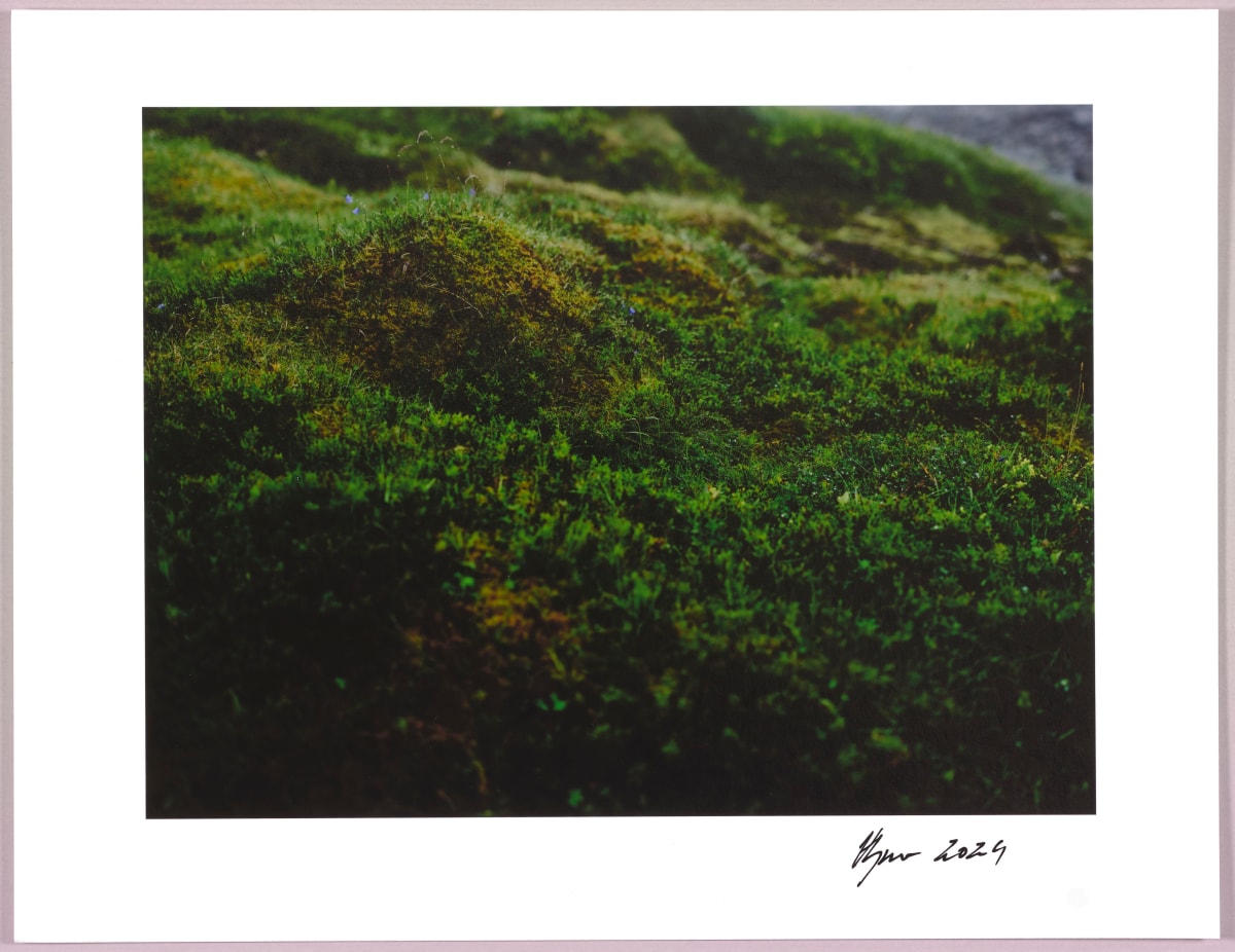 Lush heathlands — Oddskarð, Iceland N°9 1/24 by Hlynur Helgason 