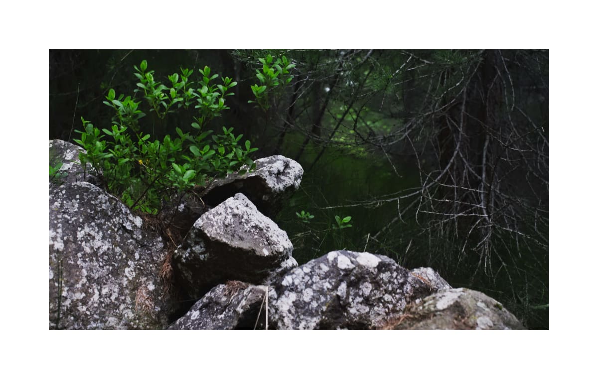 Skógargerðishleðsla, No.4 1/16 by Hlynur Helgason 