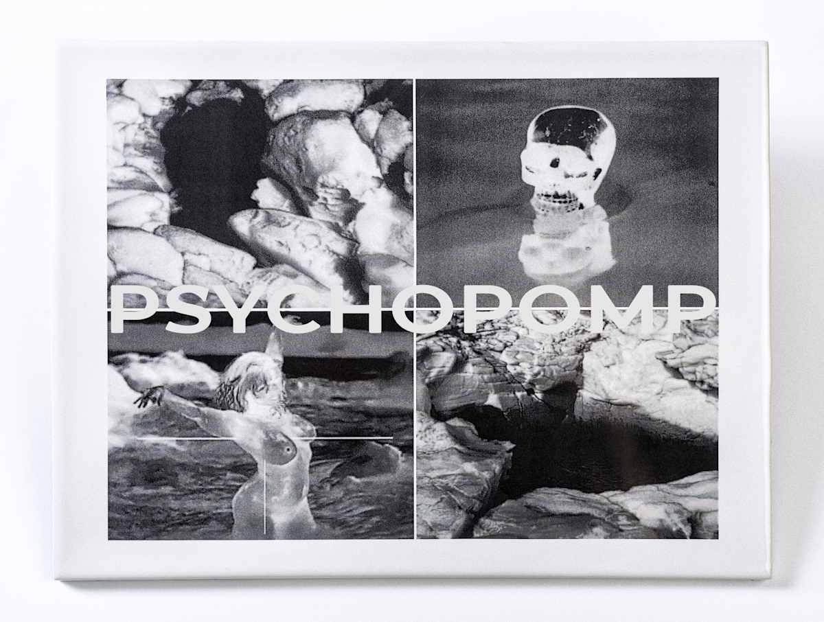 PSYCHOPOMP (A Void) by Marne A Lucas  Image: From the Transmundane series of infrared thermal video stills