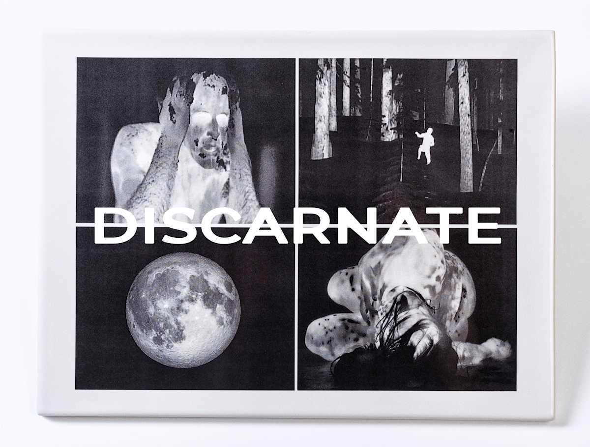 DISCARNATE (Decay) by Marne A Lucas  Image: From the Transmundane series of infrared thermal video stills