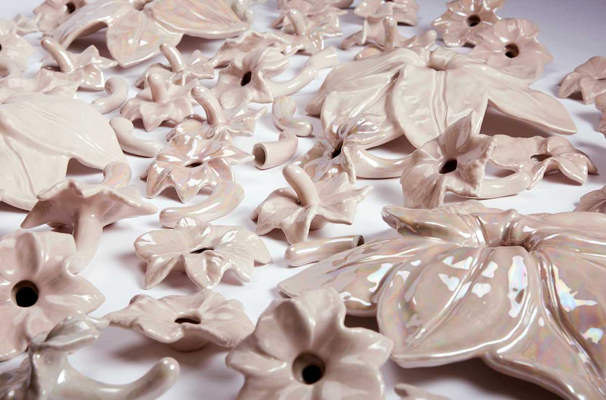 Transfleurs by Marne A Lucas 