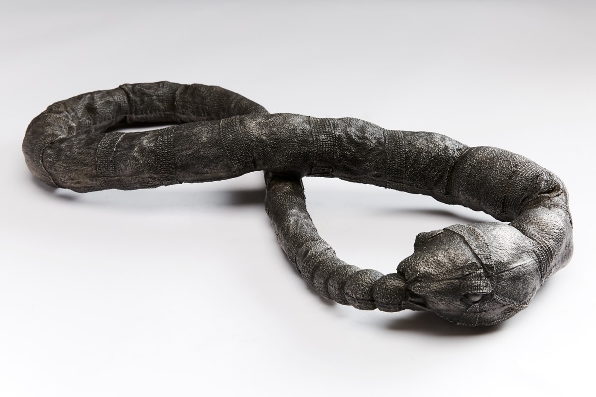 'Infinity Snake' Marne Lucas by Marne A Lucas  Image: 'Infinity Snake'