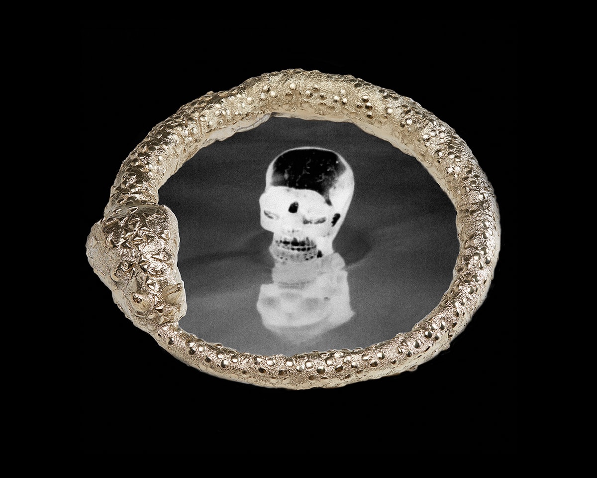 Ourobouros, Skull by Marne Lucas  Image: Edition 1/7, from the Quietus series