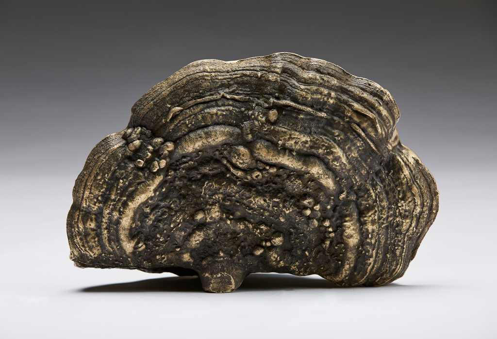 'Tree Conch' (for Wayne Lucas)' Marne Lucas by Marne Lucas, Image 1.