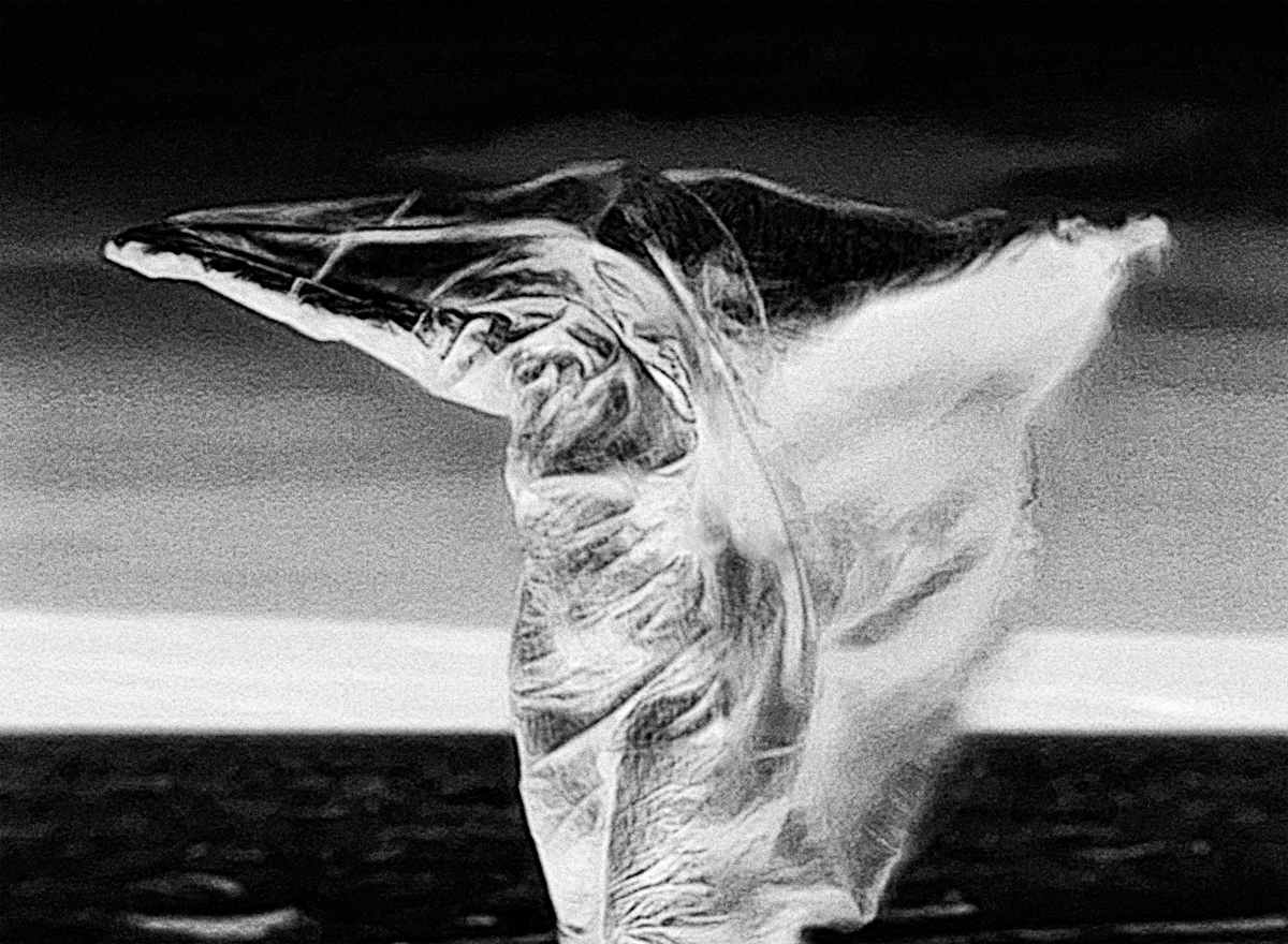 Nephthys by Marne A Lucas  Image: From the 'Transmundane' series of infrared thermal video stills.