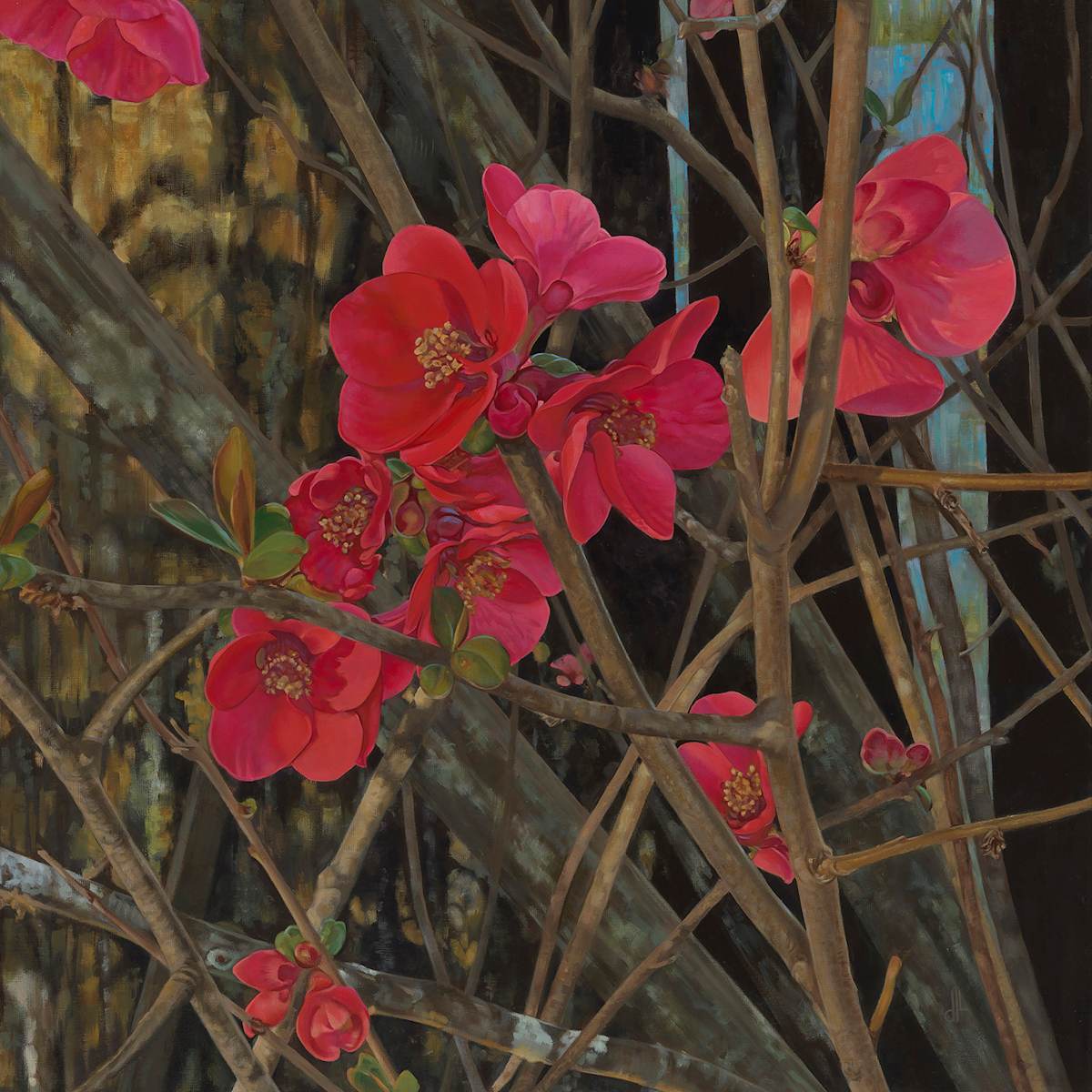 Dappled Quince by Diane Liguori 