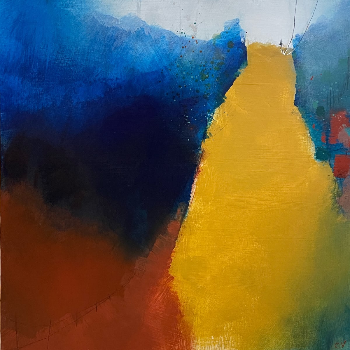 Tiger Mountain 3 by Caryn Vainio 