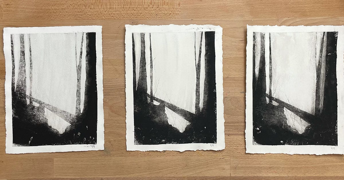 Squak Mountain: Progression by Caryn Vainio, Image 1.