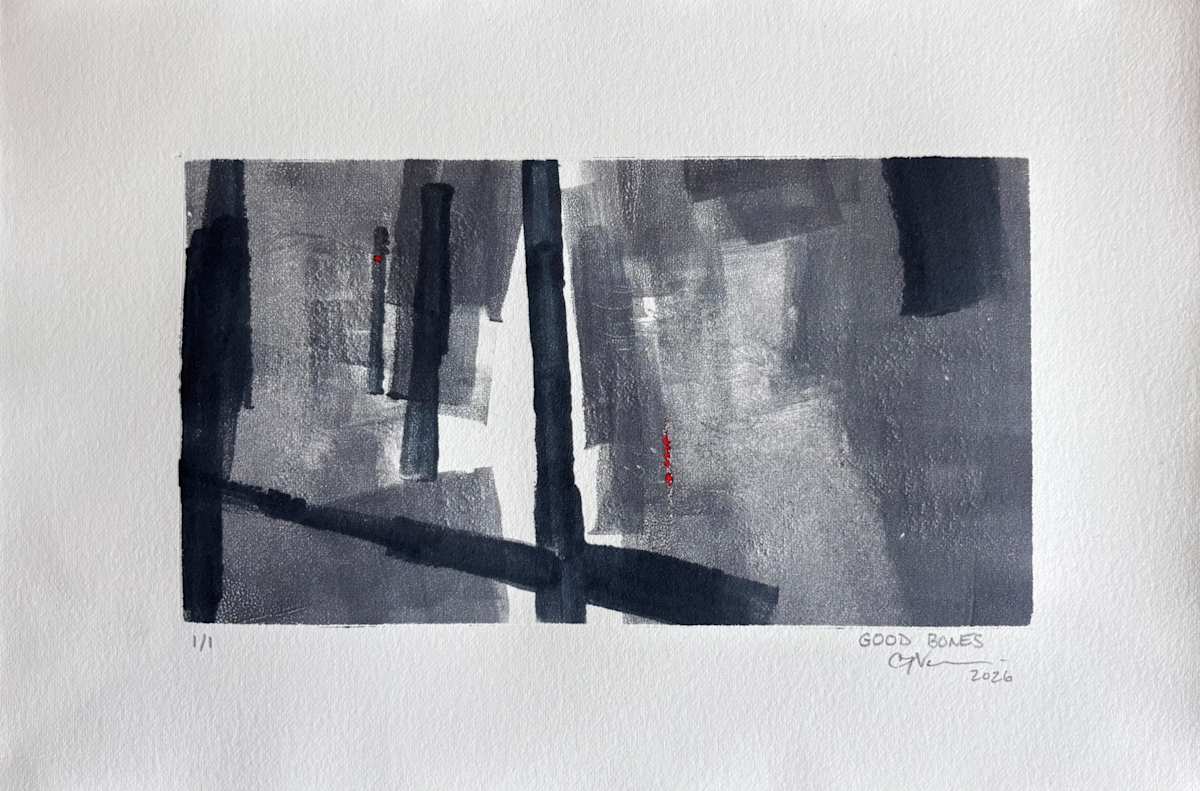 Good Bones by Caryn Vainio, Image 1.