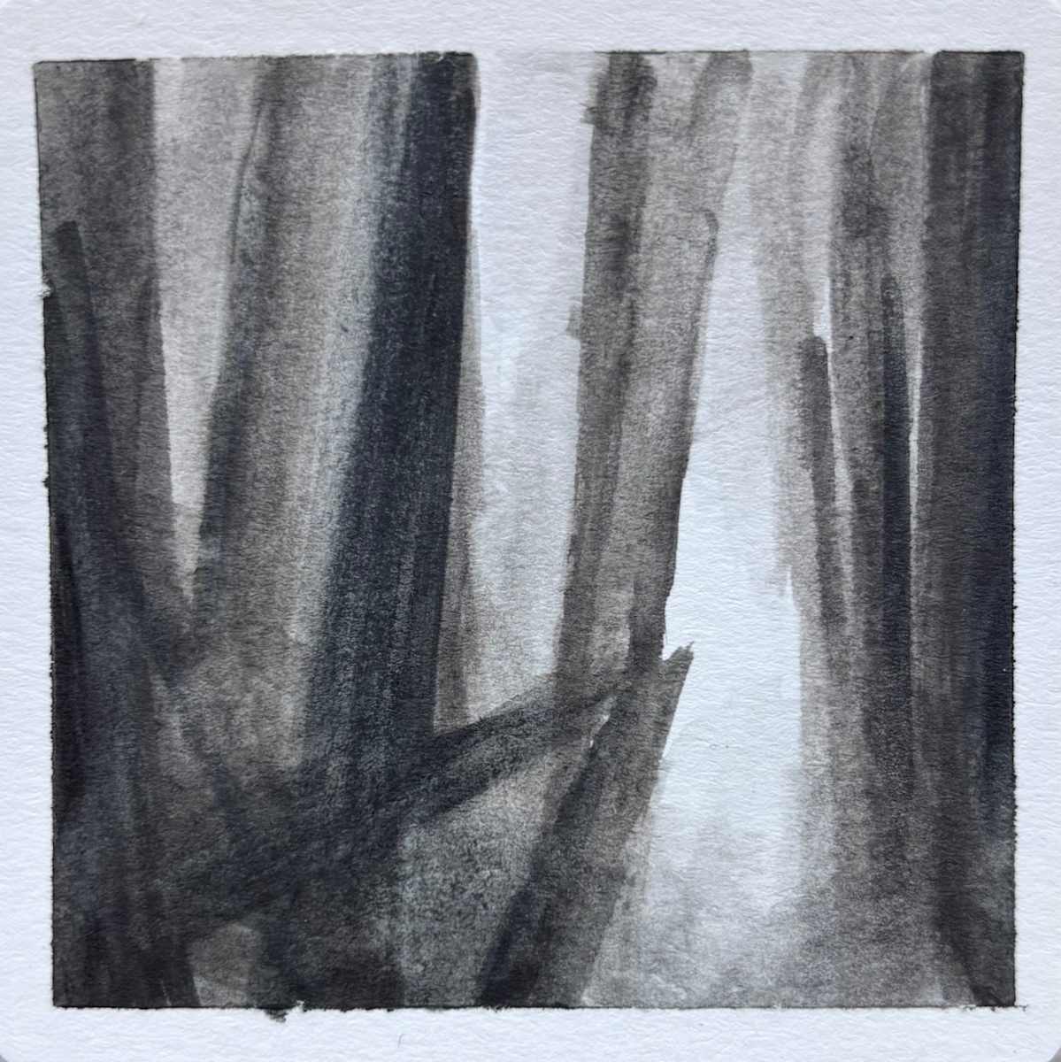 Good Bones #3 by Caryn Vainio, Image 1.