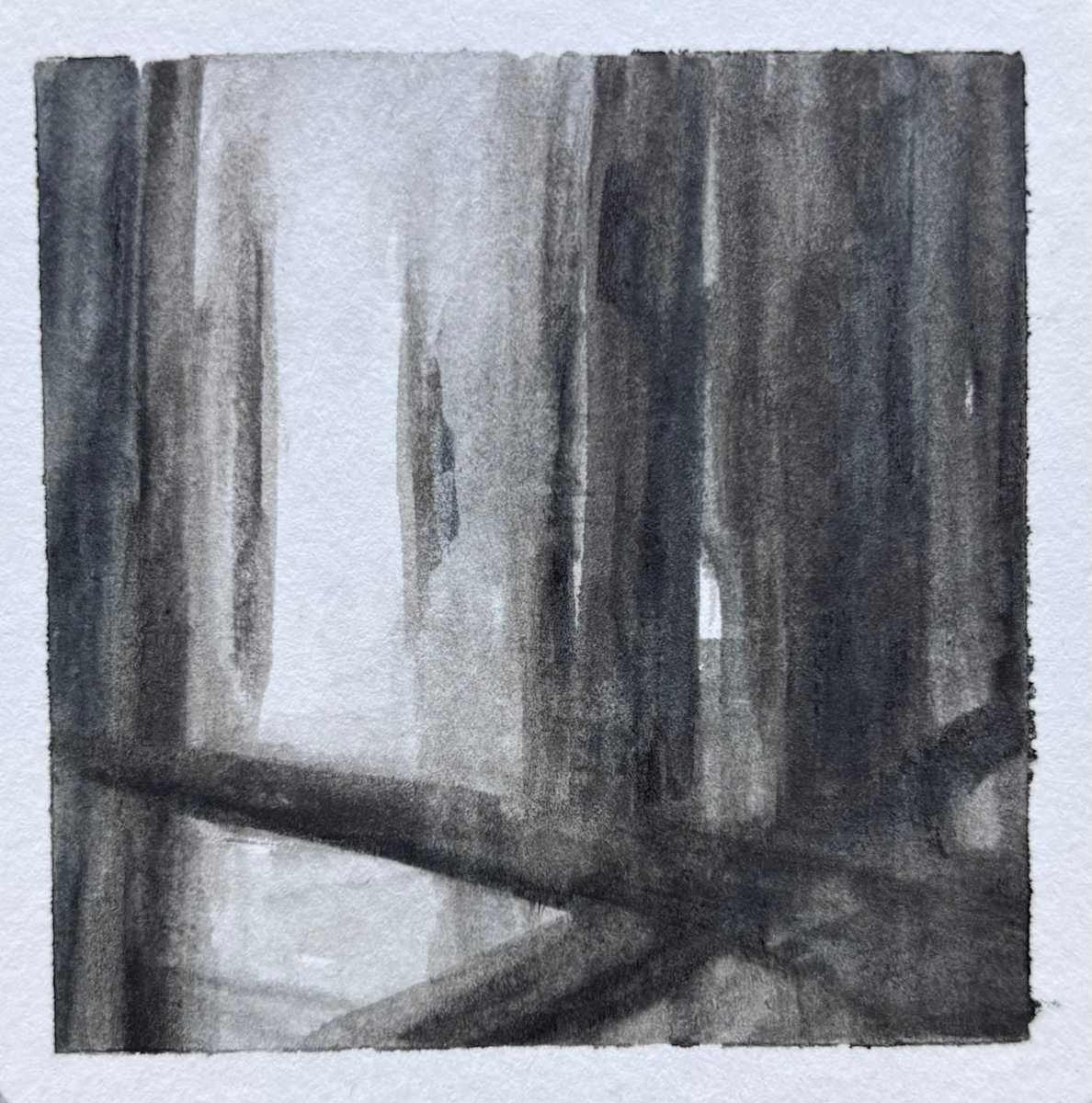 Good Bones #2 by Caryn Vainio, Image 1.