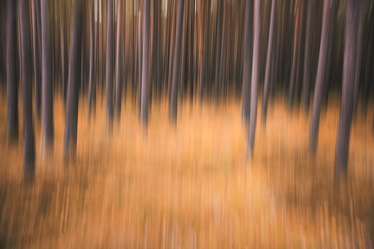 Colors of Autumn by Rolf Florschuetz  Image: ICM Photography